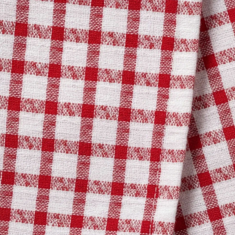 Coppia di Strofinacci da cucina 100% cotone doppio ritorto quadri rossi