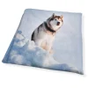 Copripiumino e federe matrimoniale HUSKY Happidea in cotone