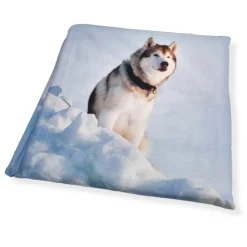 Copripiumino e federe matrimoniale HUSKY Happidea in cotone