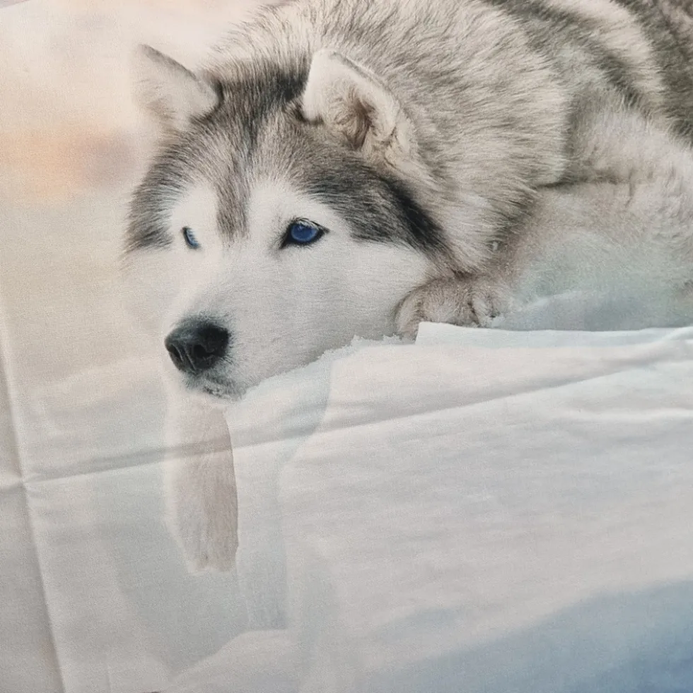Copripiumino e federe matrimoniale HUSKY Happidea in cotone