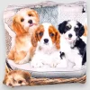 Plaid Sherpa coperta effetto-agnellato singola 160x200 cuccioli