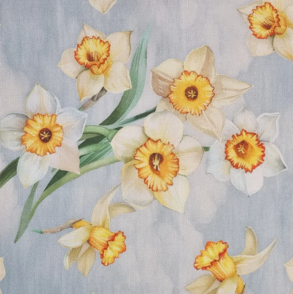 Strofinaccio canovaccio in cotone 50x75 TAG HOUSE Narciso