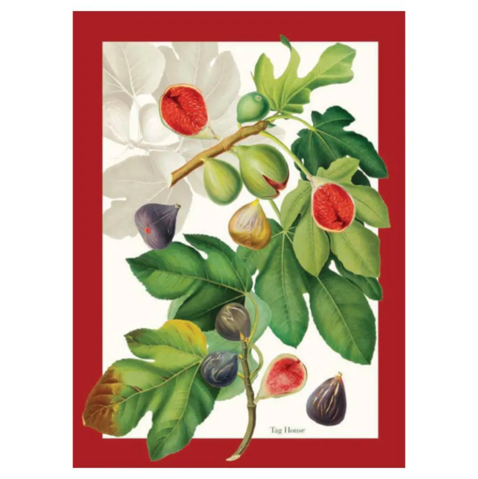 Strofinaccio canovaccio in cotone MAXI 58x80 TAG HOUSE Ficus rosso