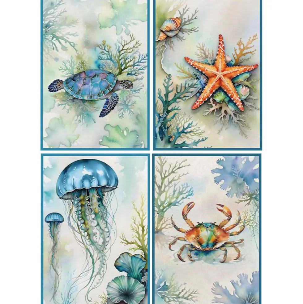Strofinacci 50x70 Cucina Ocean | Kit 4 Pezzi 100% Cotone